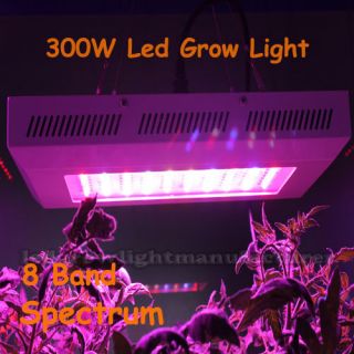 New 300W LED Grow Light for Indoor Grow Green House Hot Sale