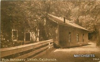 1917 Ukiah California Fish Hatchery 2566 Postcard