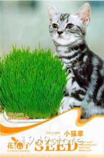 Bag 200 Seed Cat Grass Lovely Plant Flower Seed L001