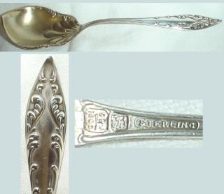 Antique STERLING SUGAR SPOON Essex by Towle /No Mono/6in/15g