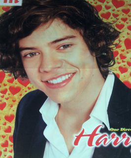 New One Direction 1D Harry Styles Close Up Poster B w Charming Justin