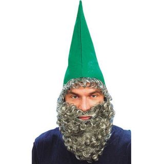   GREEN DWARF HAT BEARD Grey Wig Elf Gnome Goblin Wizard Mens Costume