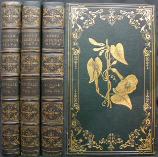 NORTH AMERICAN SYLVA 1853 Hand Colored Plates LEATHER SET Natural