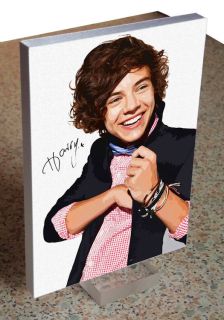Harry Styles One Direction Autograph canvas art mounted on a display
