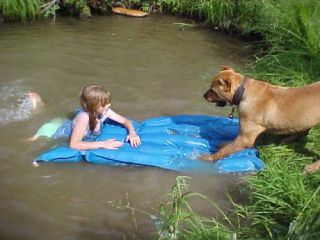 NEW BLUE pet raft canvas Recyclers Raft ECO style float 4 KIDS DOGS