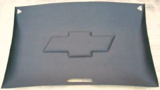 brand new abs plastic headliner and customize as pictured in nearly