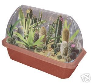 Dune Craft Hothouse Indoor House Plant Cactus Terrarium
