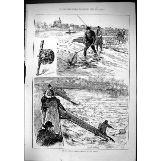 Antique Print of Sporting Dramatic News 1884 River Thames