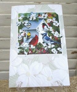 Anytime Greeting Card Backyard Birds Russel Cobane PP55168
