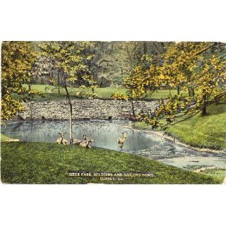 1920s Vintage Postcard   Deer Park at the Soldiers and