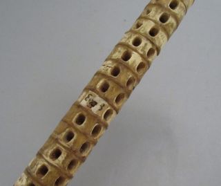 Antique Shark Vertebrae Gold Cane Walking Stick Holmes