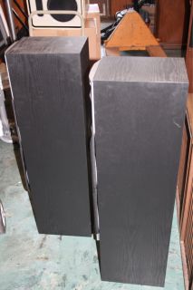  floorstanding horn speaker speakers are in very good working condition