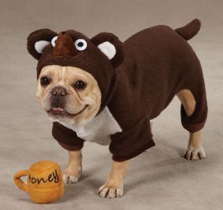 Zack Zoey Lil Honey Bear Dog Halloween Costume XS XL