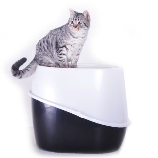 Favorite Cat Open Top Litter Box Litter Pan with Shield keep private