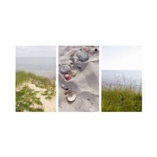 Shells and Dunes Triptych Wall Decal Without border 22 x