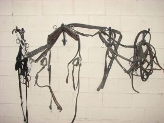 Horse Buggy Harness with Lines Bridle