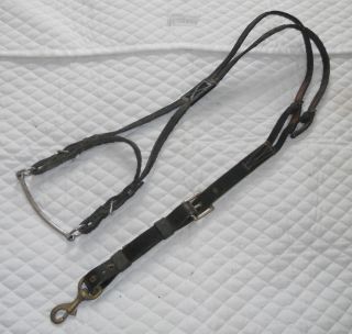 QUALITY   Driving Horse Harness Overcheck & Bit   Perfect for Training