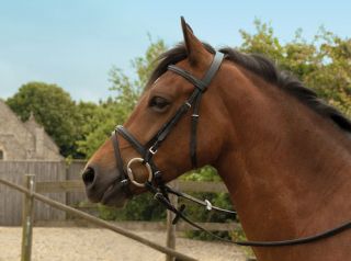 Windsor Equestrian Horses Leather Bridle Equestrian Supplies