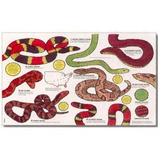 Snakes Alive Childrens Floor Puzzles 24x36 Toys