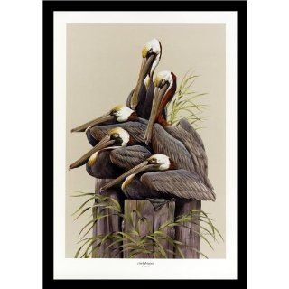 COUCH POTATOES Pelican FRAMED ART Limited Edition   Art