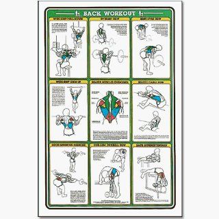 Fitness And Weightlifting Charts   Fitnus Chart  back