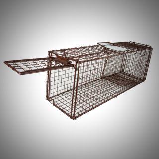  Trap Skunk Racoon Cat 31 x 9 x 11 Cage Rabbit Box Wildlife Humane
