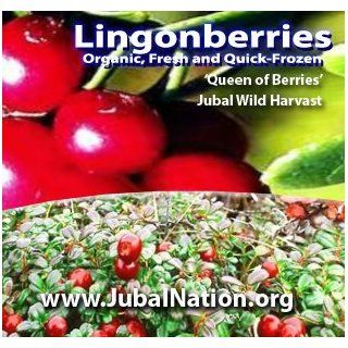 Lingonberry   Fresh   Organic   One and One Half Pounds 