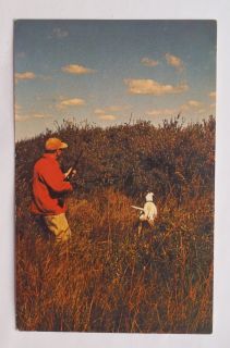 1960s Game Bird Hunter Hunting Dog Manitoba Government Travel Winnipeg