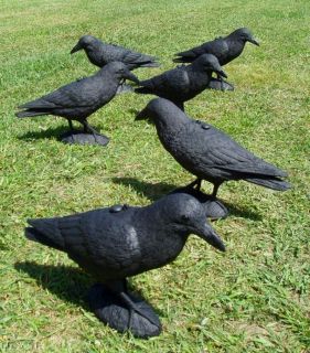Carry Lite Crow Raven Decoys Hunting Halloween 6 Owl New