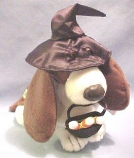 Hush Puppies Witch Beanie Basset Hound Dog with Candy Corn in Basket