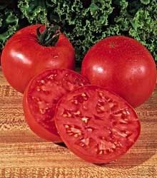 Burpees Big Boy Hybrid Tomato 25 Seeds Always Popular