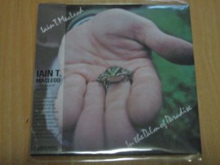 Iain T MacLeod in The Palm of Paradise Mini LP CD New