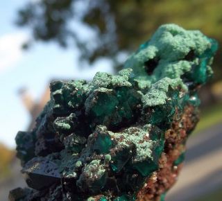  Conichalcite from Tsumeb Mine Namibia EX Immelman Collection
