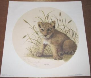 1977 Lion Cub Signed Imogene H Farnsworth L E 815