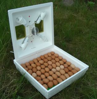 Incubator Electro Mechanical Thermoregulator 70 80 Eggs