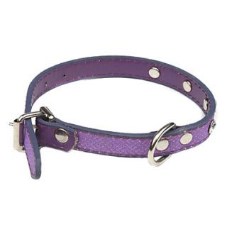  for Dogs(Assorted Color,30 x 1.2cm), Gadgets