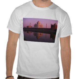Taj Mahal and Jamid Masjid Tee Shirt 