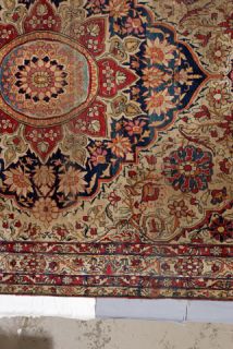 Image of  sale item oriental wool rug