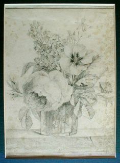 Fine Antique Drawing Framed Botanical Flowers c1870 France French