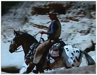 Zip Cochise Appaloosa Horse Postcard J Wayne El Dorado