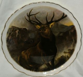 James Kent Old Foley England Plate Monarch of the Glen Sir Edwin