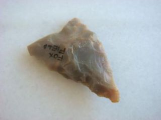 Arrowhead Found in Fox Field Kentucky Old Indian Artifact
