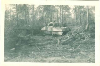 WW2 Assam India Destroyed Sherman Tank Snapshot Photo