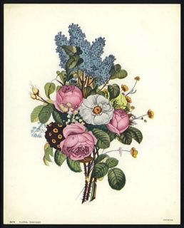 Jean Louis Prevost Vintage Botanical Print Roses Camellia Auricula
