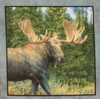  Wings Pillow 100% Cotton Fabric Panel Caldwell Creek Quilt Wildlife