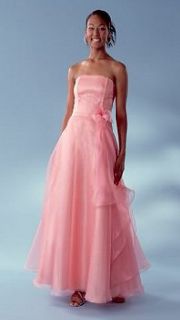 Jessica McClintock Soft Peach Pink Organza Dress Size 3