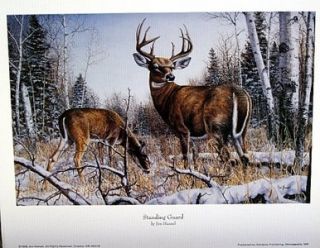 Jim Hansel Deer Print Standing Guard 12 x 7 75