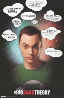 Big Bang Theory Sheldon Quotes Jim Parsons 22x34 Poster