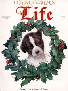 Life Christmas Boston Terrier John Held Warren Davis White Rock Santa