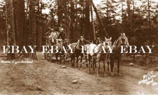 Central Oregon Overland Stage Coach Stagecoach Bend Oregon Photo